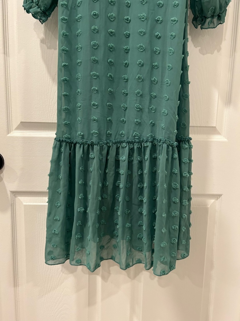 the Line of Style Green Swiss Dot Dress Size Medium - Picture 5 of 6